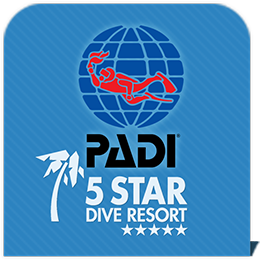 PADI 5 Star Dive Resort